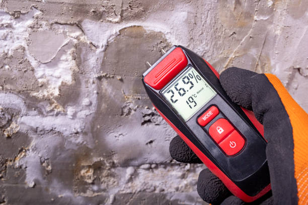 Best Post-Flood Mold Remediation in Metter, GA