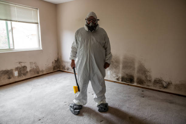 Best Commercial Mold Remediation in Metter, GA